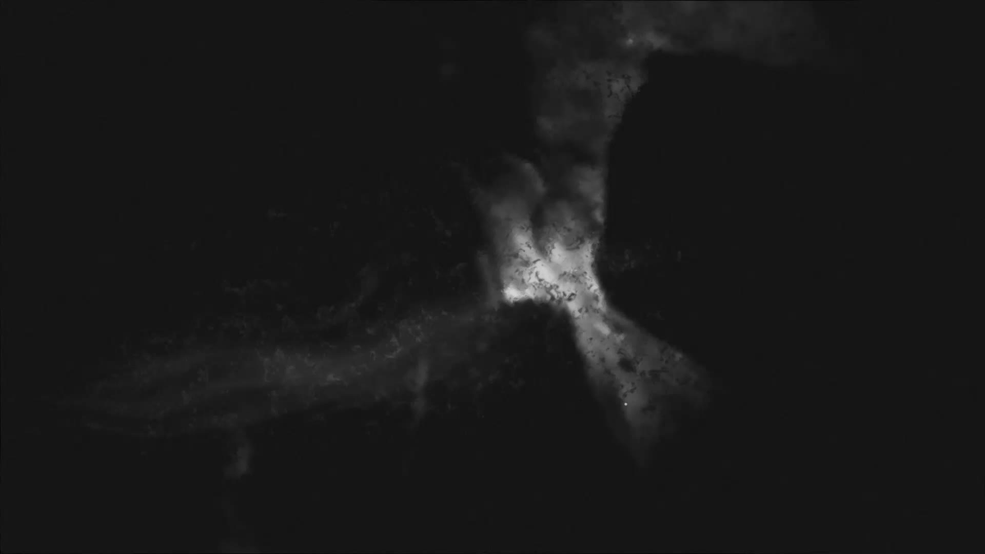 Domingo 8:00 PM - Nuevas investigaciones